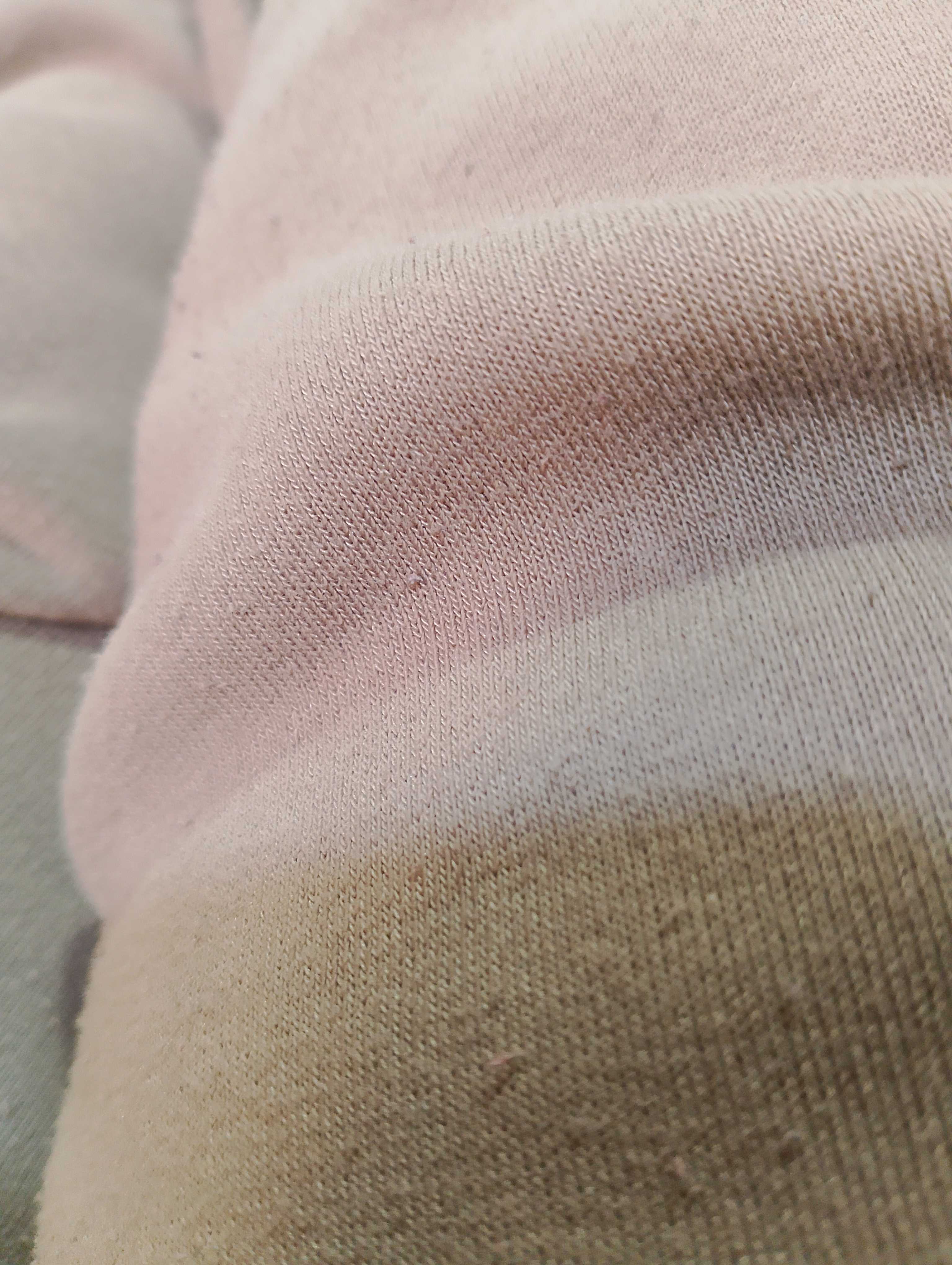 دراسة جدوي تفصيلية شاملة كل التكاليف المالية لزراعة 5 فدان تين شوكي